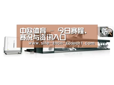 案例展示五