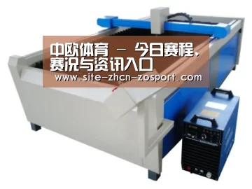 产品名称十五