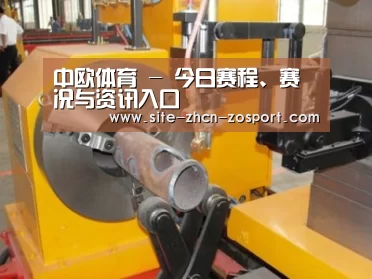产品名称十三