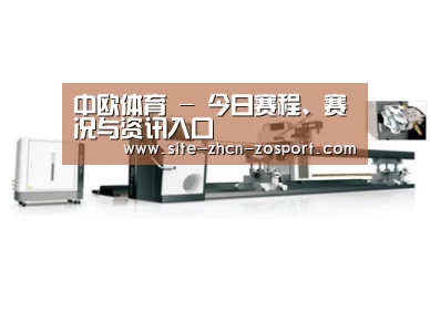 视频展示一