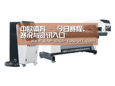 案例展示四