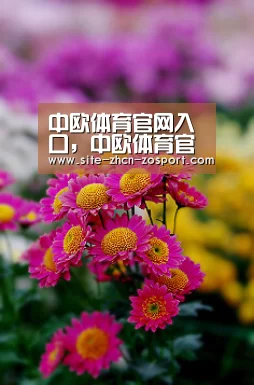 中欧体育官网入口，中欧体育官方下载，中欧体育平台：央视:史上颜值最高女足出征 能