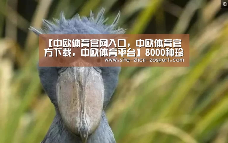 【中欧体育官网入口，中欧体育官方下载，中欧体育平台】8000种珍奇植物入住青岛世