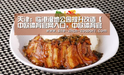 天津：临港湿地公园提升改造【中欧体育官网入口，中欧体育官方下载，中欧体育平台】