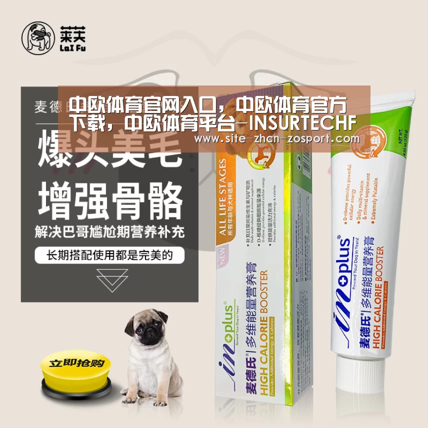 中欧体育官网入口，中欧体育官方下载，中欧体育平台