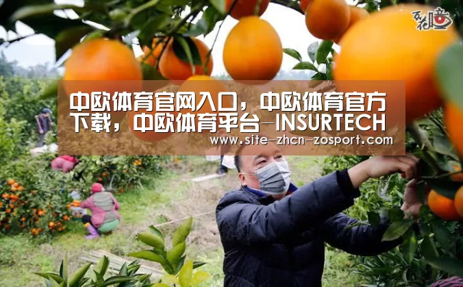 中欧体育官网入口，中欧体育官方下载，中欧体育平台