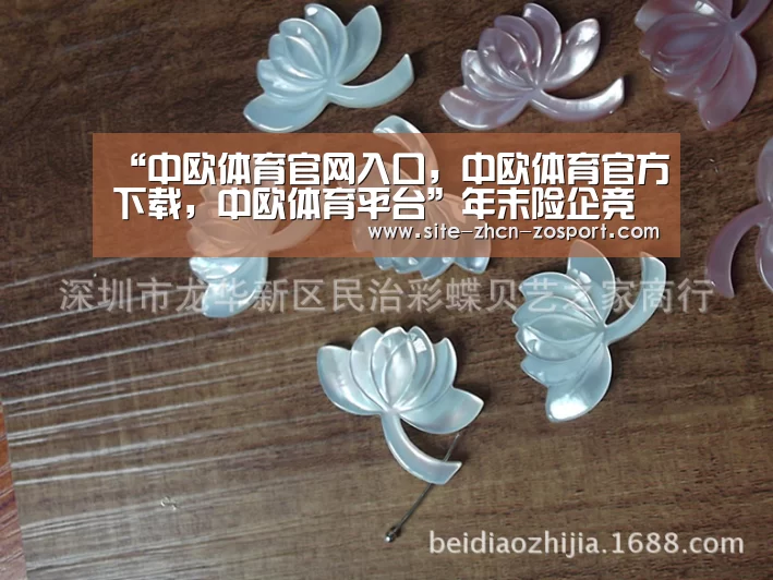中欧体育官网入口，中欧体育官方下载，中欧体育平台