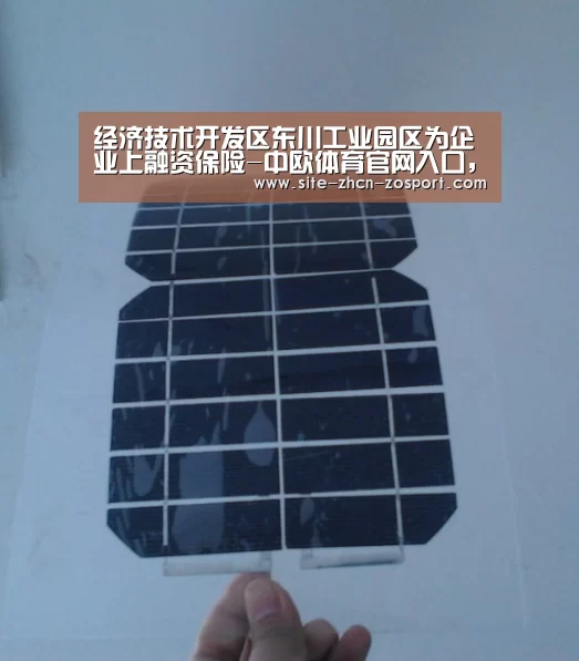 经济技术开发区东川工业园区为企业上融资保险-中欧体育官网入口,中欧体育官方下载,中欧体育平台(图4) 中欧体育官网入口,中欧体育官方下载,中欧体育平台